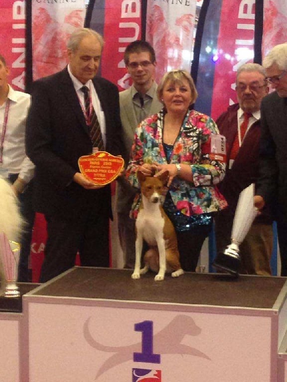 meilleur chien au salon de l'agriculture