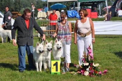 du domaine de la patte blanche - Nationale d'Elevage du Berger Blanc Suisse