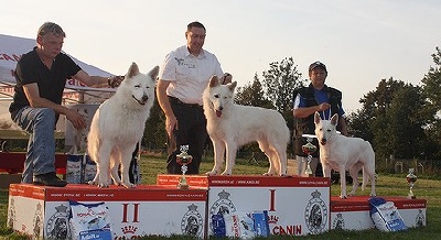 du domaine de la patte blanche - 6ème COUPE DES NATIONS - BBI 2011