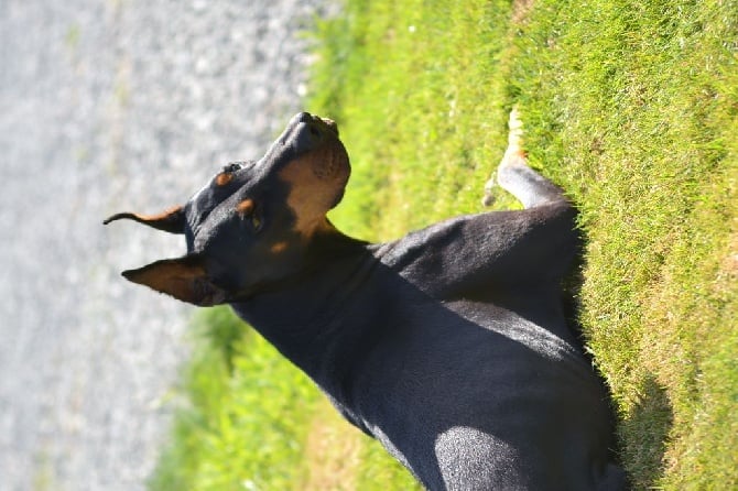 Album de Bella mis à jour :) 