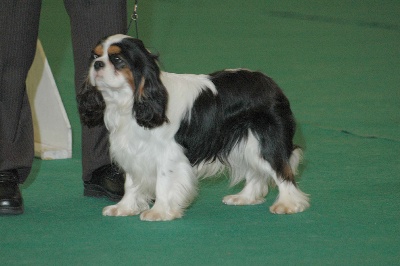 Du val de la lauriere - Championnat de France