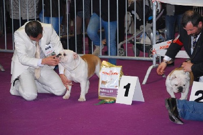 du domaine des calins - E'lle star meilleur jeune spéciale de Valence mars 2011