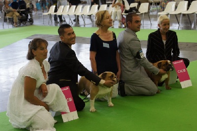 du domaine des calins - WORLD DOG SHOW 7 JUILLET 2011