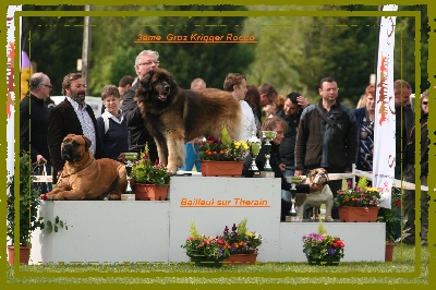 du domaine des calins - CACS Bailleul-sur therain