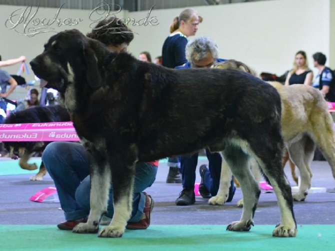 de la bande à Gro - Championnat de France 2014