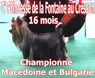 du clos de faurilles - c'princesse championne a 16 mois