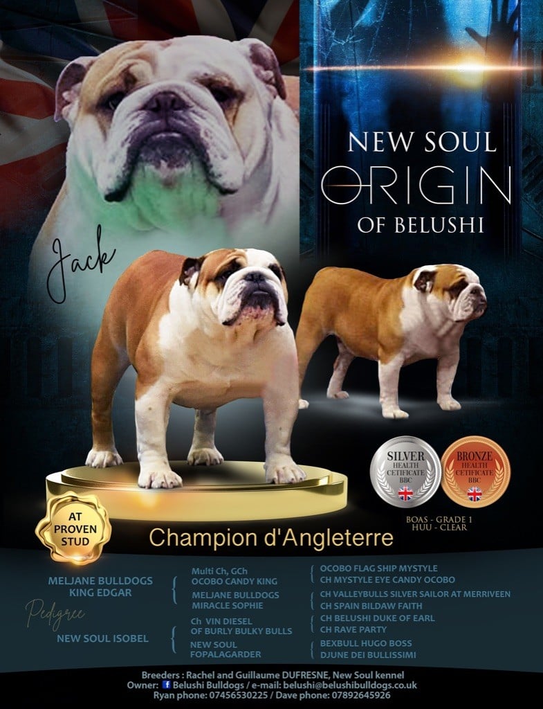 New Soul - Champion D'angleterre !!!!!