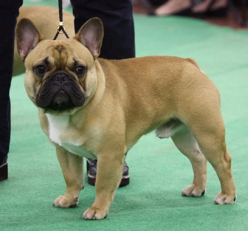 03/06/2017 Un nouveau champion de France