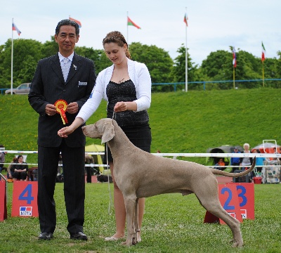 des Guerriers D'Argent - Top Dog...