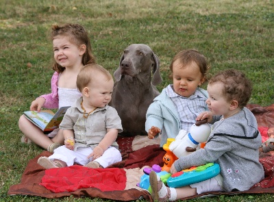 des Guerriers D'Argent - Baby sitting...