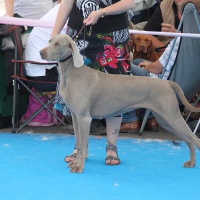 des Guerriers D'Argent - Championnat de France 2012