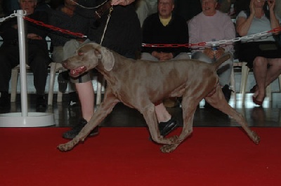 des Guerriers D'Argent - Floyd devient champion!!