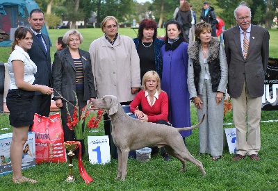 des Guerriers D'Argent - BEST IN SHOW.....