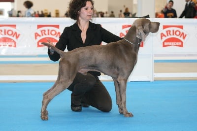 des Guerriers D'Argent - Championnat d'Espagne