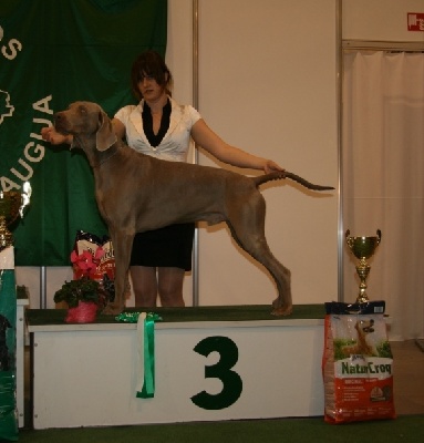 des Guerriers D'Argent - Champion au top !!