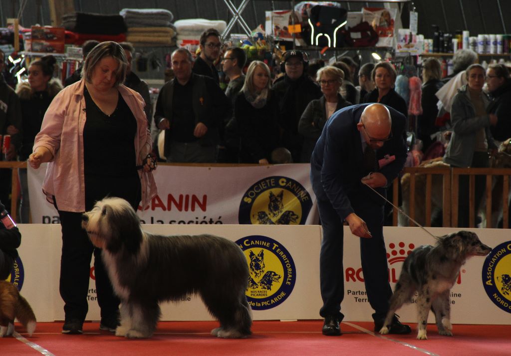 Des gardes champetres - NDS Amiens 2019