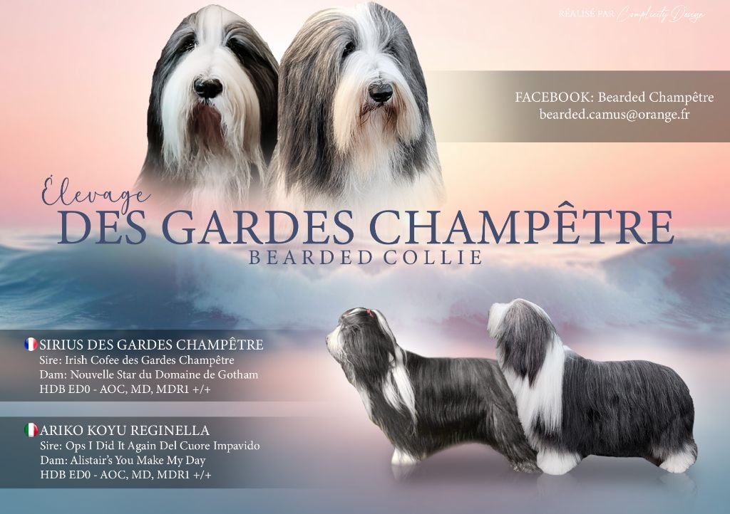 Des gardes champetres - Nos prochains bebes