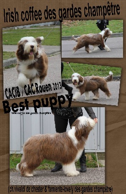 Des gardes champetres - irish coffee best puppy a rouen 2013 