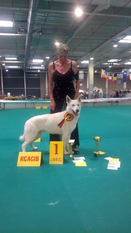 du domaine de pegase - GOLDEN TROPHY LiègesGLUCK RCAC RCACIB