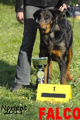 du mont des croisettes - CASTELNAUDARY 2011