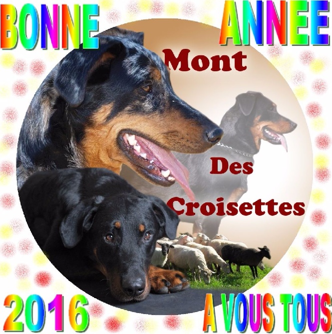 du mont des croisettes - Bonne Année 2016