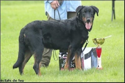 du mont des croisettes - JOURNEE BEAUCERONNE DE CONTY DEPT 80