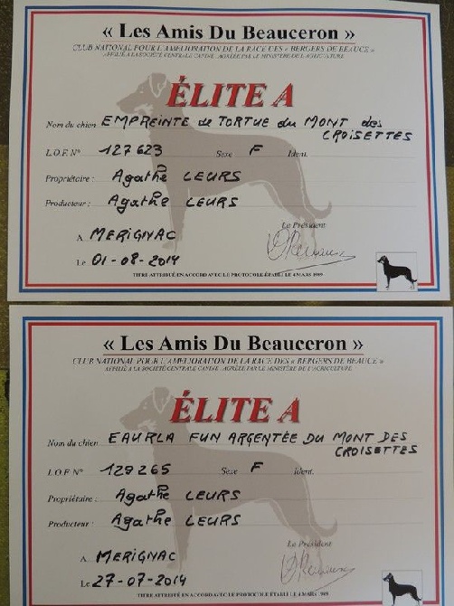 du mont des croisettes - 2 ELITE A