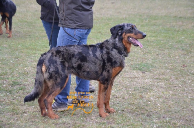 du mont des croisettes - JOURNÉE BEAUCERONNE DE CERGY