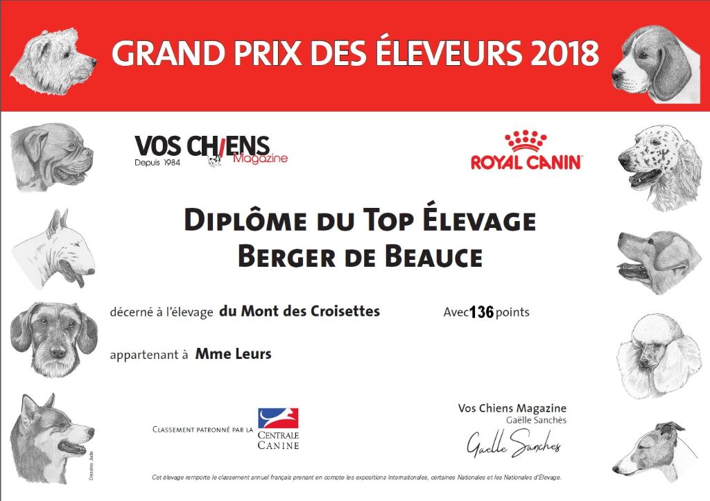 du mont des croisettes - 1er au challenge VOS CHIENS 2018