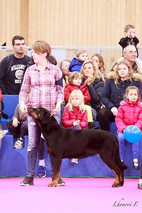 du mont des croisettes - HAFTER EIGHT 3eme AU SALON DE L'AGRICULTURE