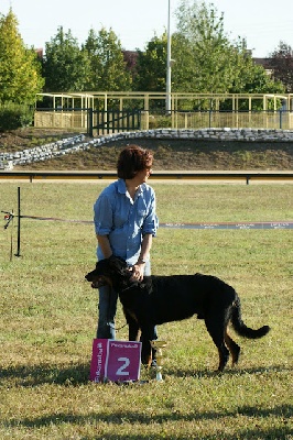 du mont des croisettes - JOURNÉE BEAUCERONNE DU 09/09/12