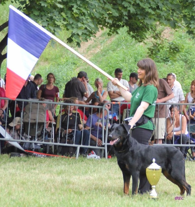 du mont des croisettes - NE 2015