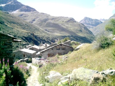 des Gaillards des Terres Froides - Journée  Beauceronne de Bourgneuf