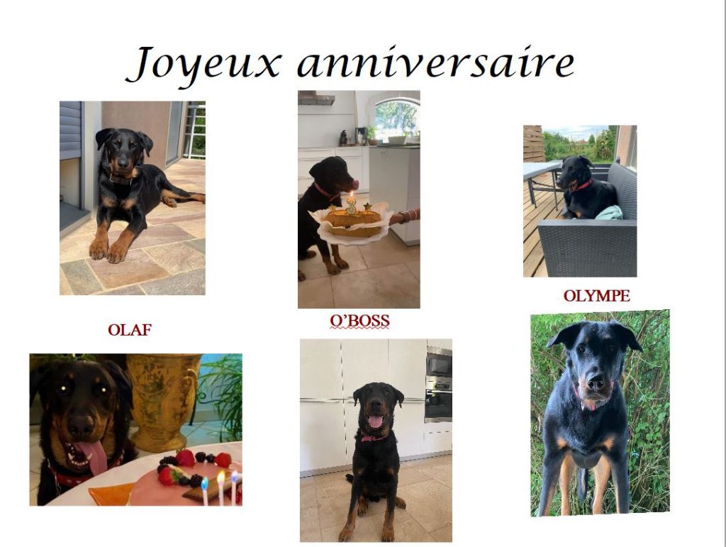 des Gaillards des Terres Froides - Joyeux anniversaire à nos petits 0 de 2018