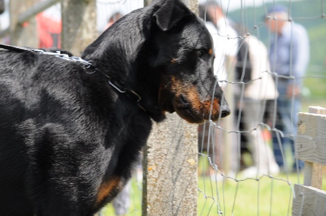 des Gaillards des Terres Froides - Journée Beauceronne de Longechenal