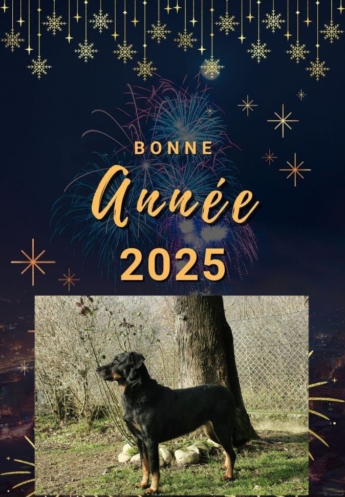 Heureuse année 2025