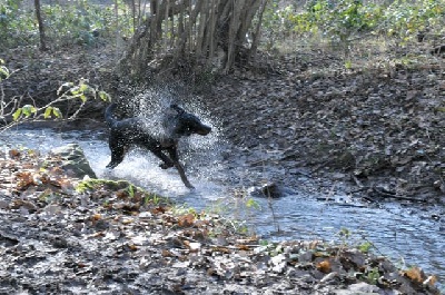 des Gaillards des Terres Froides - IN'DY au fil de l'eau !!