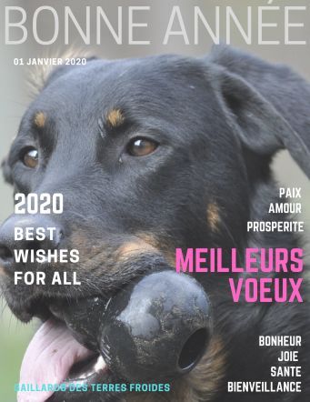 des Gaillards des Terres Froides - Bonne année 2020 !