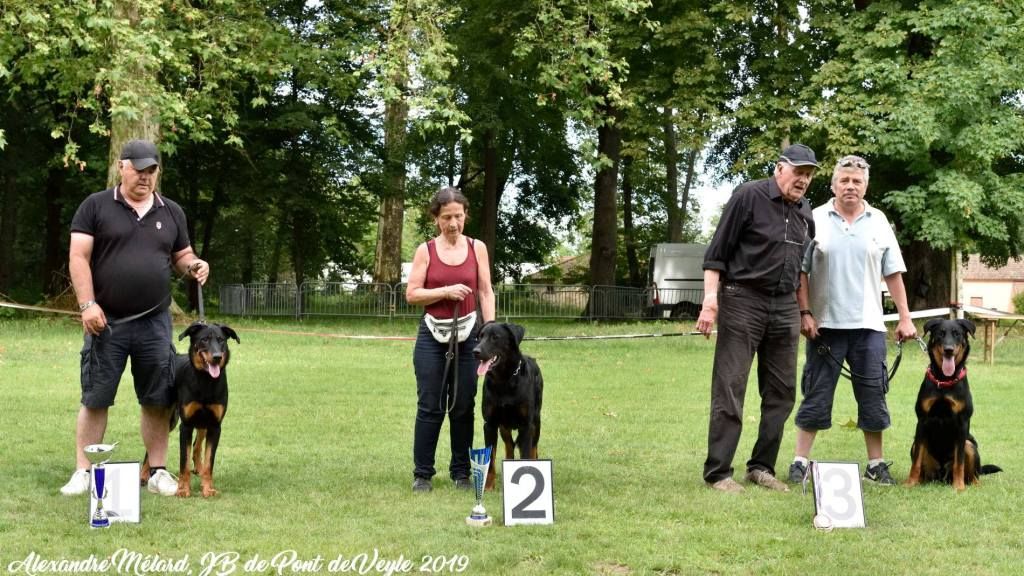 des Gaillards des Terres Froides - Journée beauceronne de Pont de Veyle 