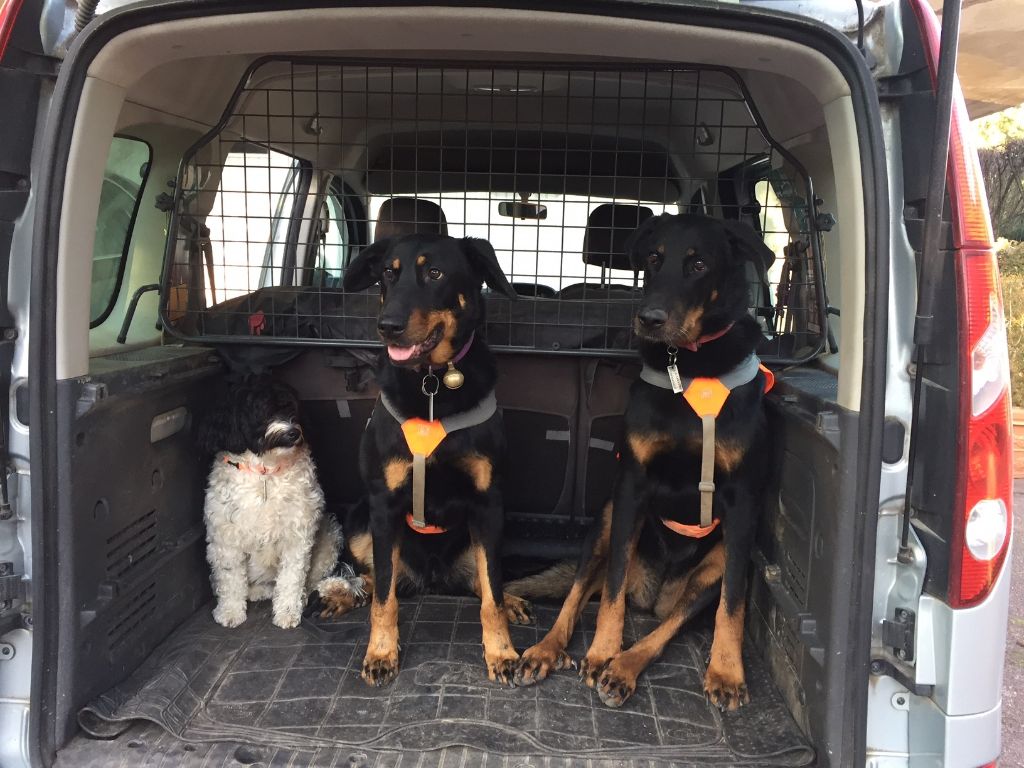 des Gaillards des Terres Froides - En voiture Simone  !