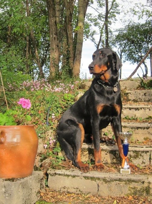 des Gaillards des Terres Froides - Journée beauceronne de la bégude 