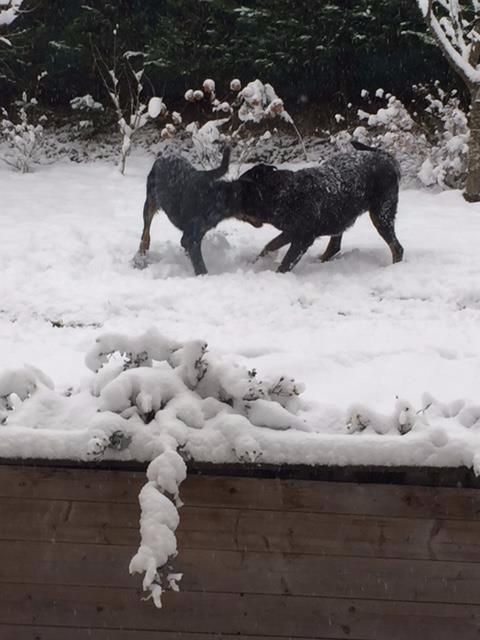 des Gaillards des Terres Froides - NOUBA découvre la neige en famille