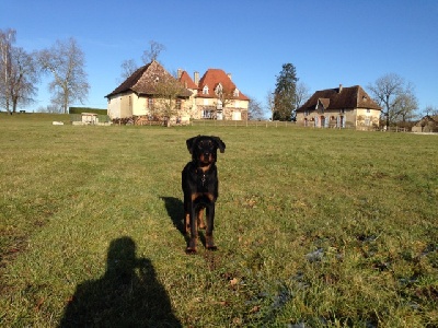 des Gaillards des Terres Froides - IGOR 6 mois Balade dominicale