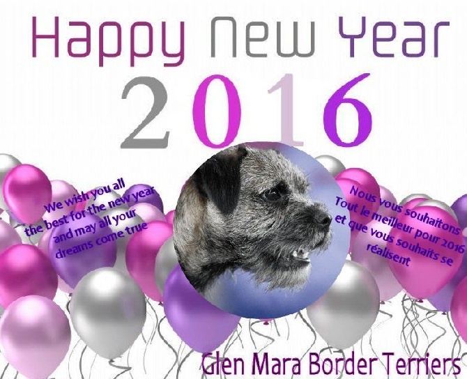 Glen mara - Bonne Année 2016