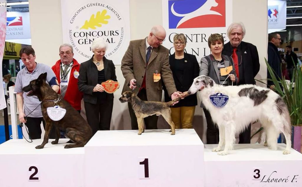 Glen mara - Concours Général Agricole 2017