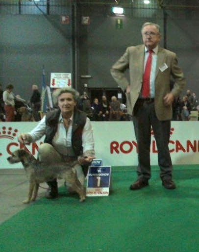 Glen mara - Eurodogshow Courtrai 15/11/2015