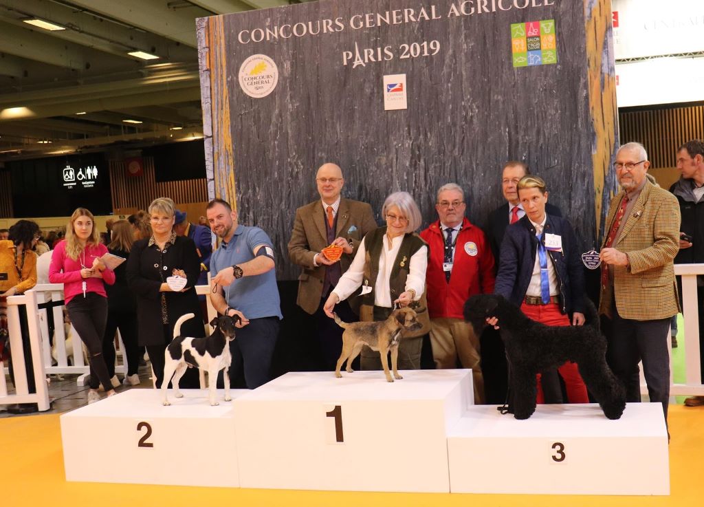 Glen mara - Concours Général Agricole 2019