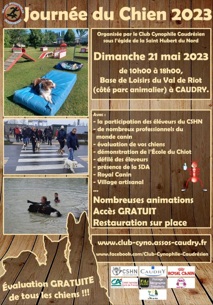 Du castel des pres - Journée du Chien 2023 à Caudry organisée par le Club Cynophile 