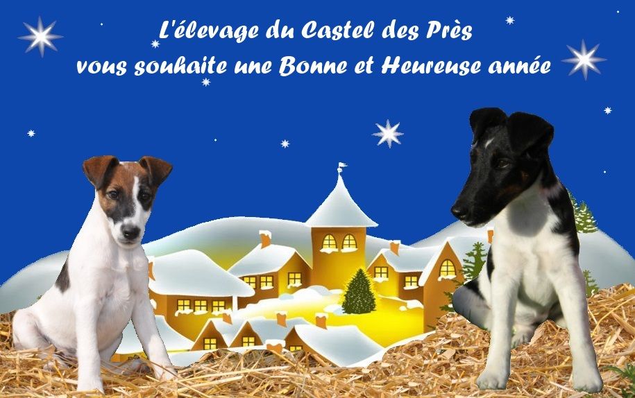 Du castel des pres - Bonne Année 2019