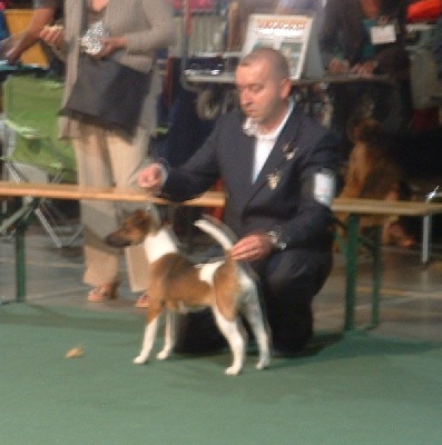 Du castel des pres - Evita au Golden Dog Trophy CACIB De Liège